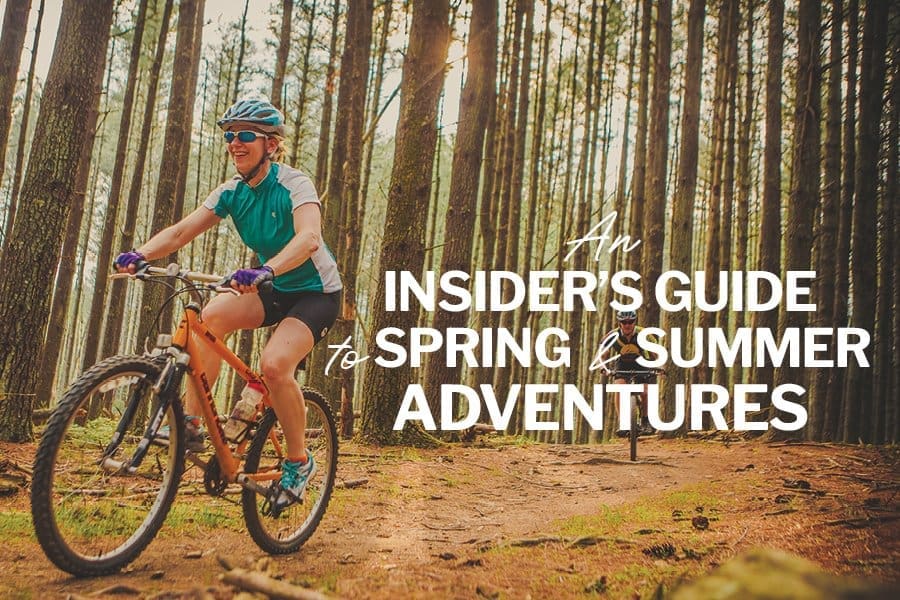 More than 60 miles of trail await you at Carvins Cove.