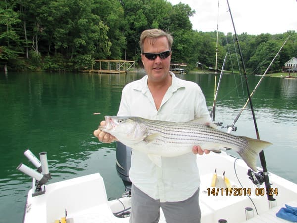 Rookie lake fisherman Steve Beyer was in the first cove east of Gills Creek Marina on the Blackwater side of Smith Mountain Lake for his catch.