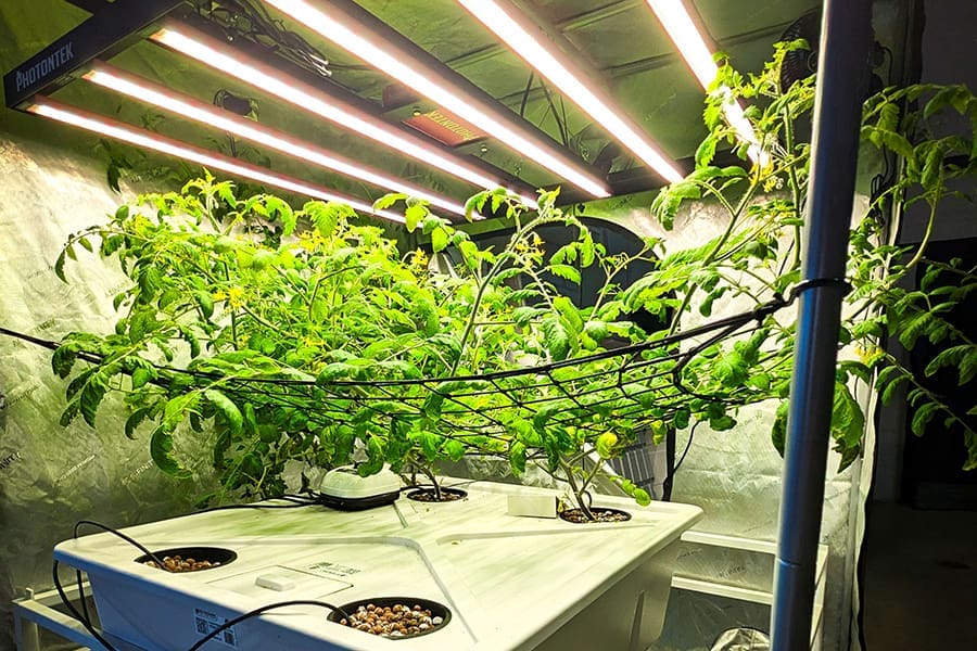 Hydroponic farming, like the display shown here from Blue Ridge Hydroponics in Salem, VA, provides an innovative method of growing plants without soil, using nutrient-rich water and technology. Virginia Western will launch an eight-week hydroponics course starting February 19, 2025, to provide students with a comprehensive introduction to hydroponic farming.