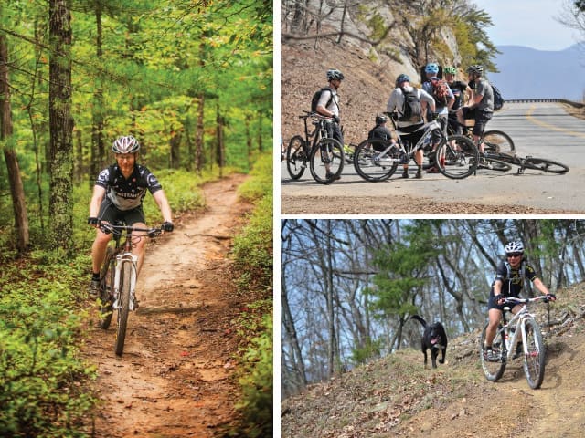 Mountain bikers on a forest trail, a group on a mountain road, and a rider with a black dog.