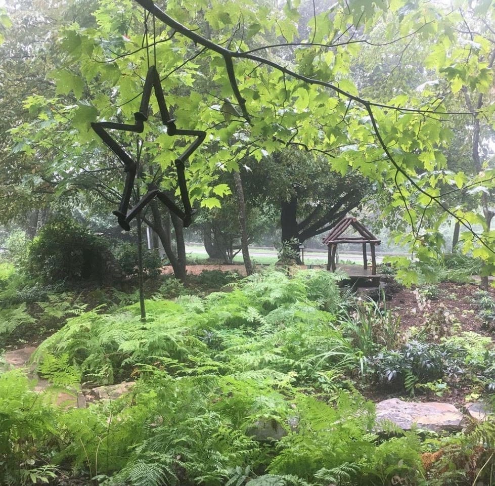 Many non-native species at the Mill Mountain Wildflower Garden have recently been replaced with native trees and plants.