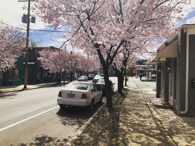 Wasena neighborhood, March 2020