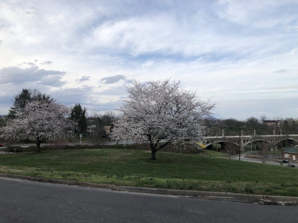 A walk outside is a great way to avoid boredom.