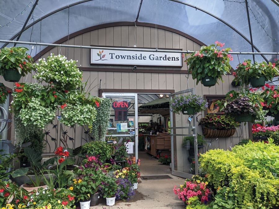 Ellen Urbanski from Townside Gardens says small space gardening is perfect for people with mobility issues and time limitations.