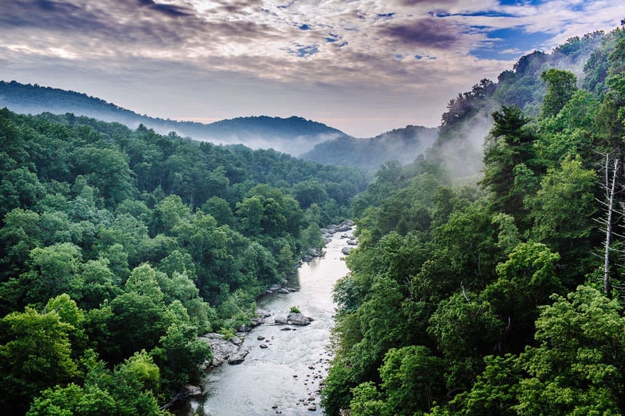 Misty morning view down a winding river lined with dense green forest and rocky banks under a cloudy sky.